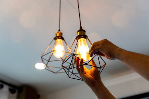Best Electrician Near Me  in Catawba, SC